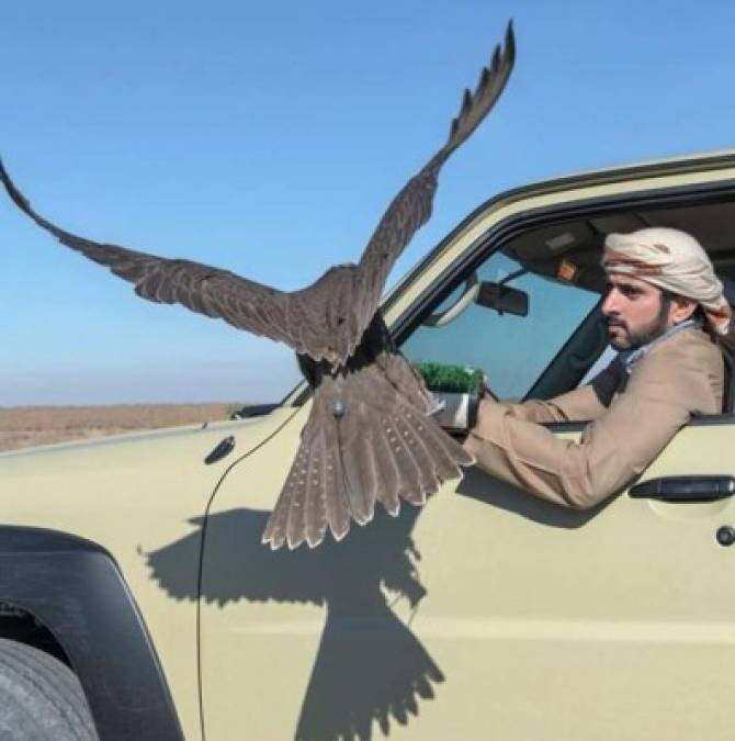 Así es la exótica vida de Sheikh Hamdan, el príncipe de Dubai más codiciado del mundo