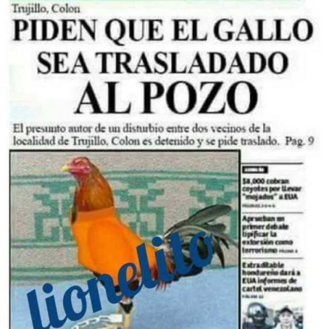 Memes: Hondureños se burlan por caso de gallo preso