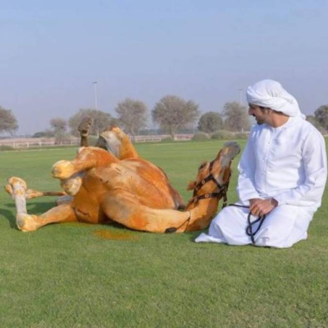 Así es la exótica vida de Sheikh Hamdan, el príncipe de Dubai más codiciado del mundo