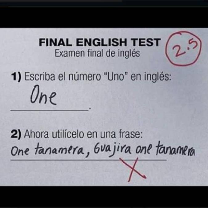 FOTOS: Respuestas ingeniosas de malos estudiantes que te harán reír sin parar