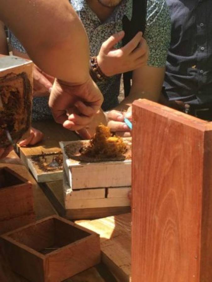 Capacitan a 40 personas en el cuidado de abejas en la capital