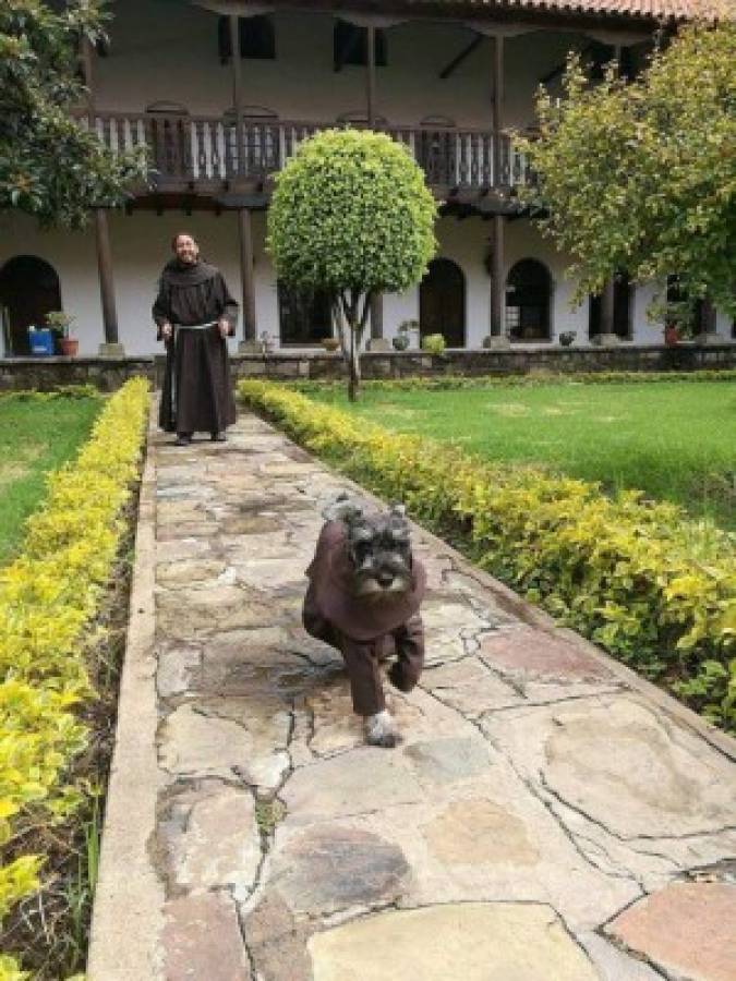 Conoce a 'Fray Bigotón', el perro franciscano de Bolivia
