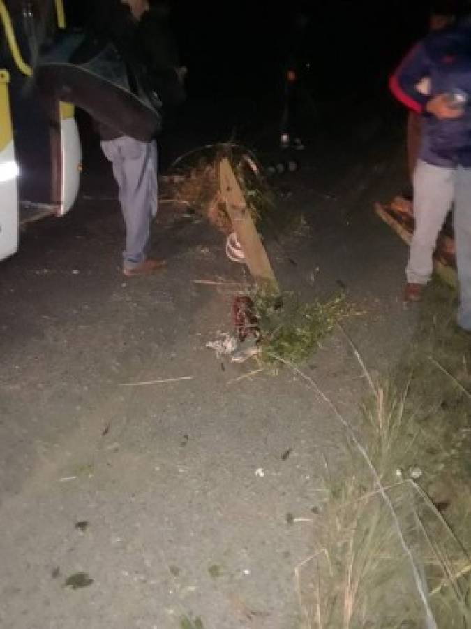 Impacto de autobús a red eléctrica en Santa Bárbara provoca pérdidas considerables