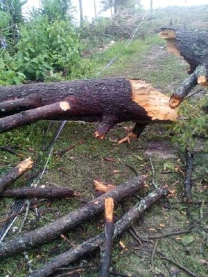 Tras tormenta varias casas peligran ser arrastradas en col. 15 de septiembre