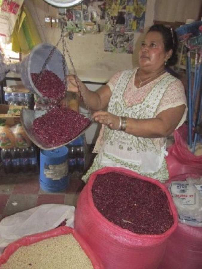 Auguran mayor producción de granos básicos en postrera