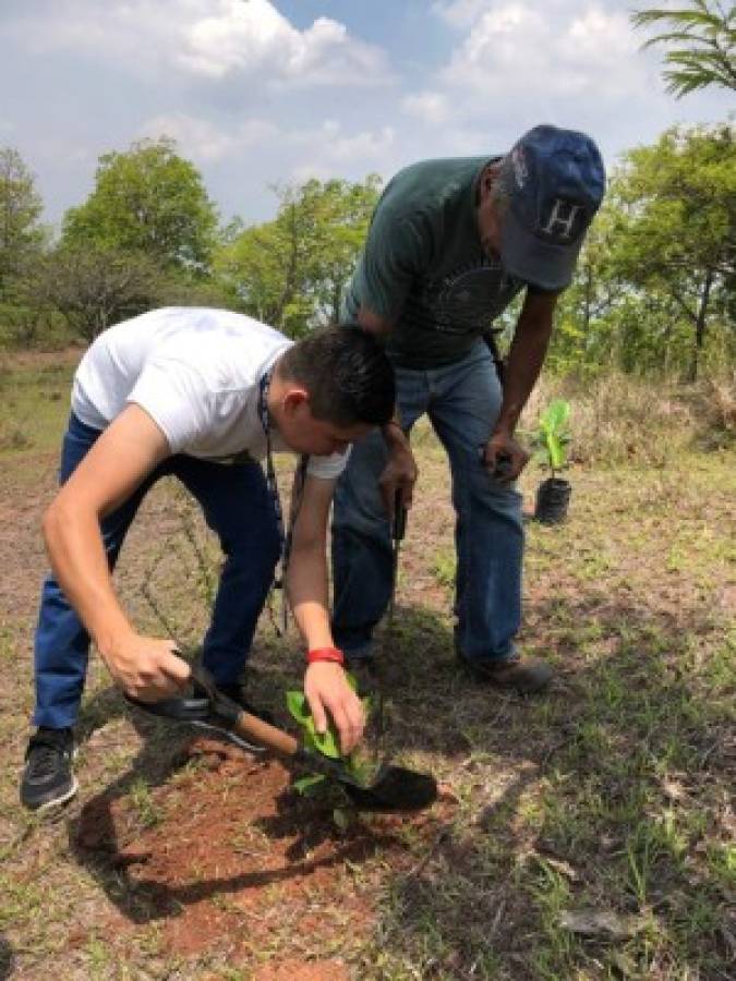 Héroes ambientales impulsan una reserva forestal en la aldea Suyapa