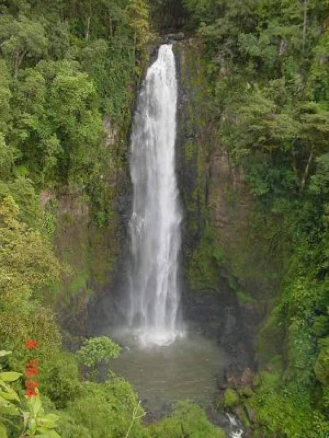 Impresionantes cascadas y mega canopy ofrece La Paz a turistas