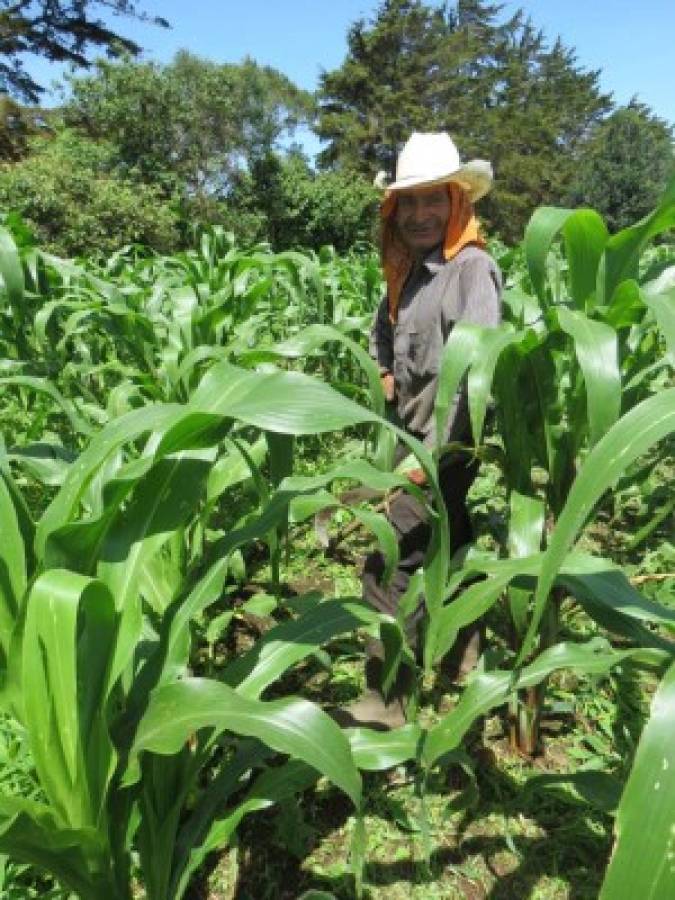 Los productores solicitan la legalización de sus tierras.