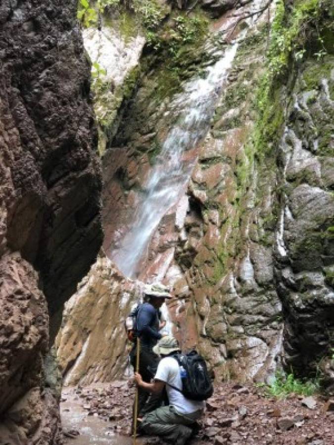 Héroes ambientales impulsan una reserva forestal en la aldea Suyapa