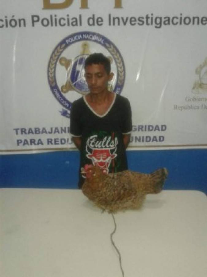 Capturan a joven que pretendía hurtar una gallina en Choluteca