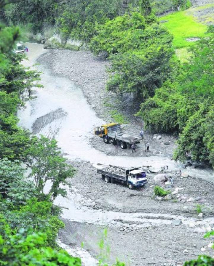 Por carreteras destrozadas trasladan producción de café en Comayagua