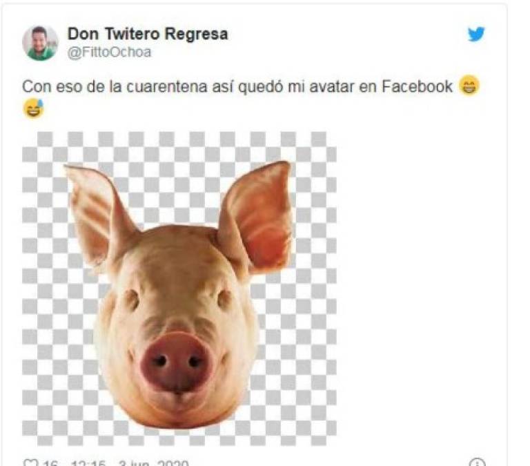 Divertidos memes que dejó creación de nuevo avatar en Facebook