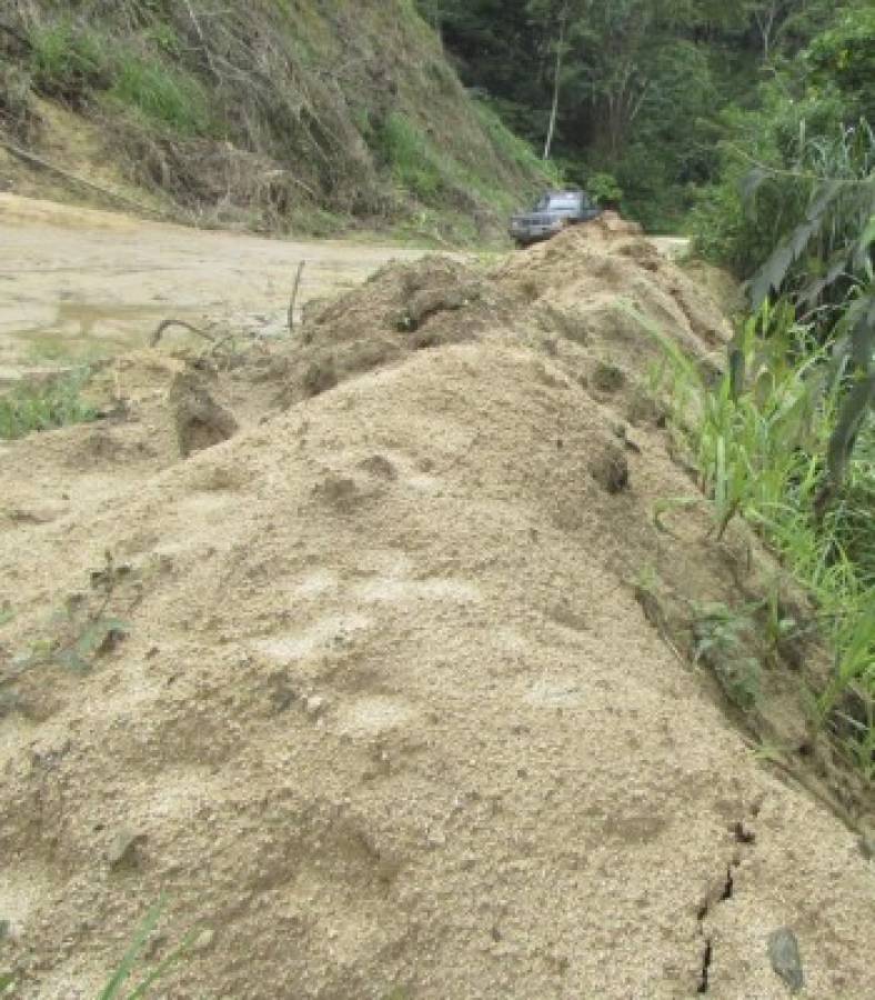 Cafetaleros preocupados por mal estado de carreteras