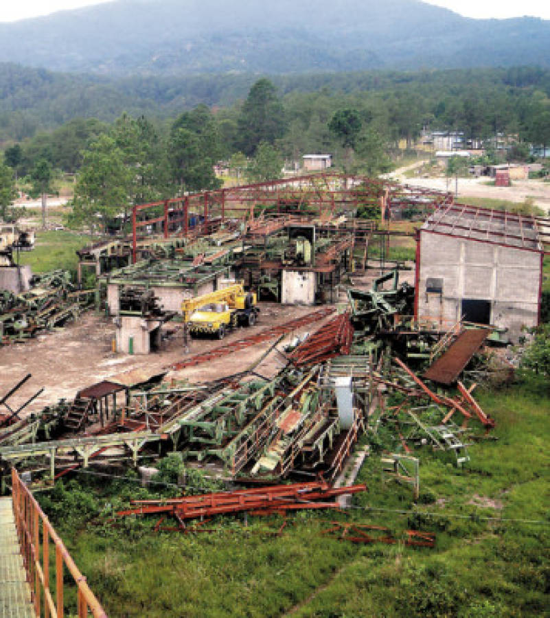TSC investigará 'legalización” de terrenos invadidos del Instituto de Conservación Forestal