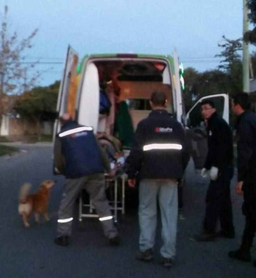 Viral: Tony, el perro que 'abrazó' a su amo accidentado en Argentina