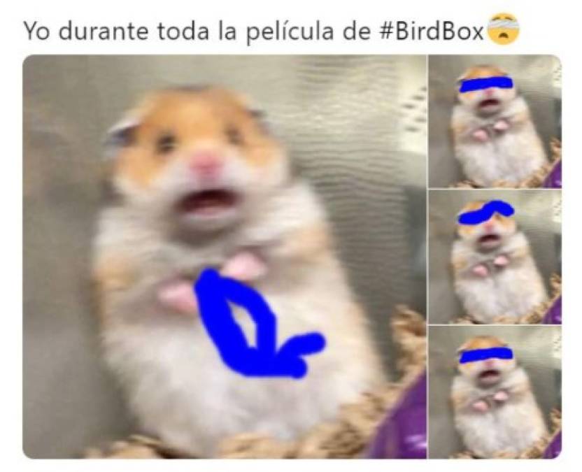 Destrozan a Sandra Bullock con divertidos memes de la película Bird Box: A ciegas