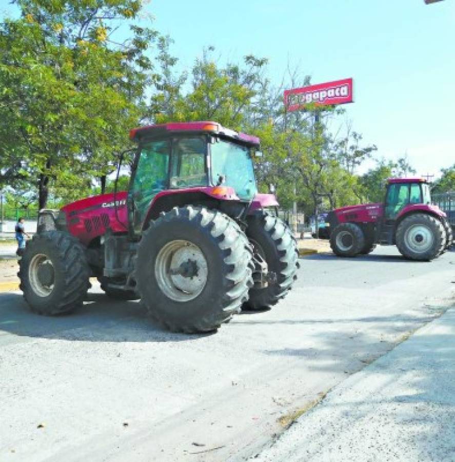 Al menos 7 mil empleos en riesgo por invasión de tierras en el sur