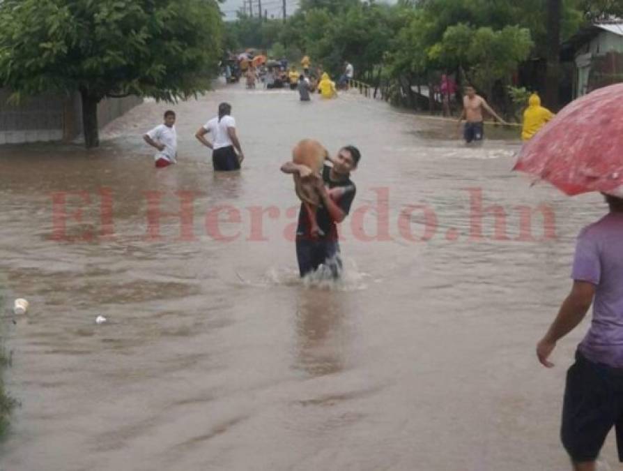 FOTOS: Lluvias dejan decenas de damnificados en Choluteca tras inundaciones