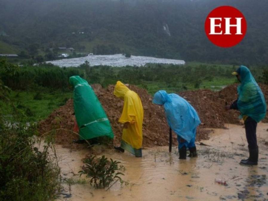 Guatemala declara estado de calamidad tras devastación por Eta (FOTOS)