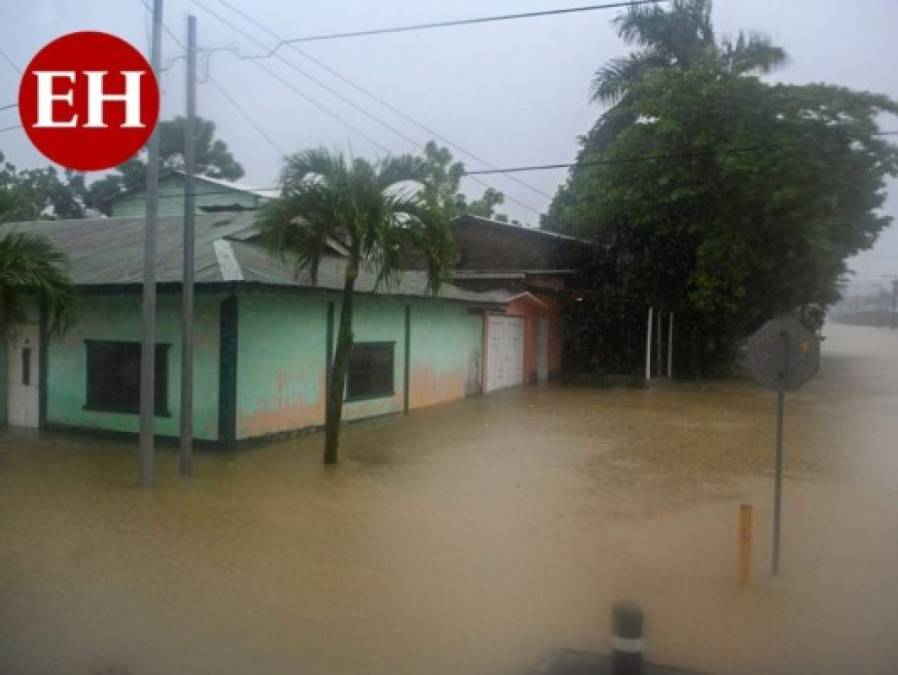 Guatemala declara estado de calamidad tras devastación por Eta (FOTOS)