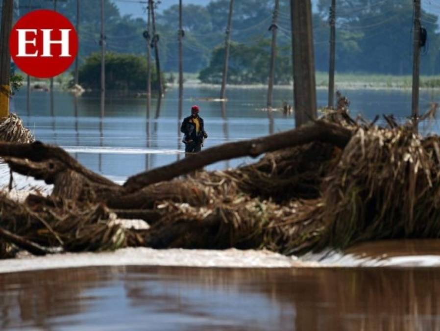 Centroamérica golpeada por la catástrofe de Eta; muerte y destrucción (Fotos)