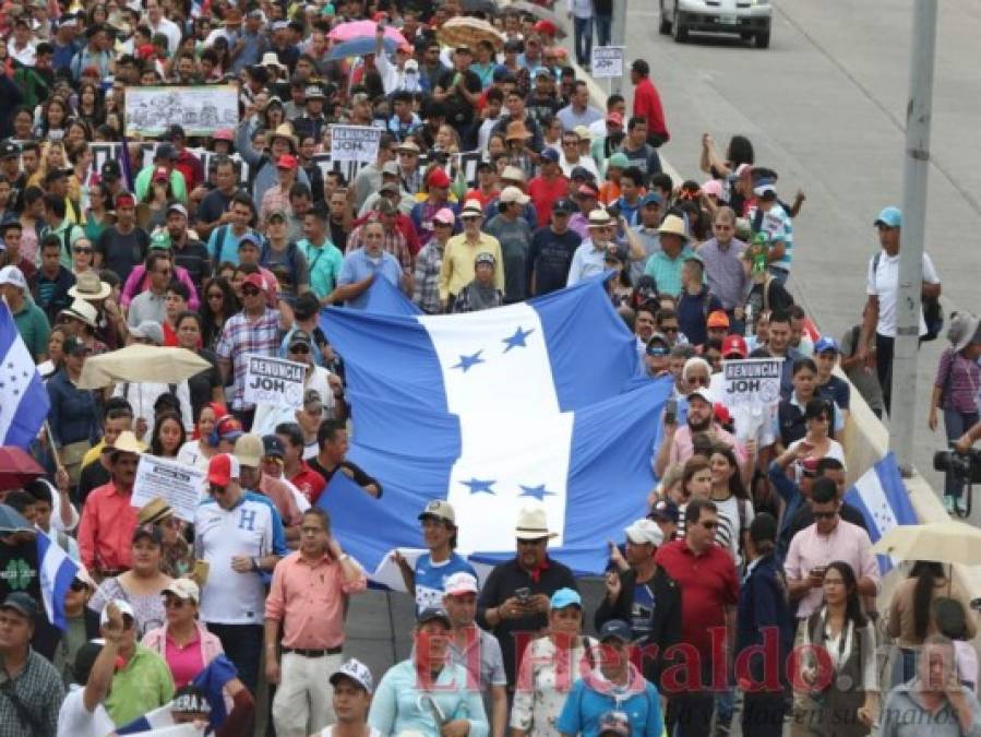 FOTOS: Así se desarrolló la marcha de la Plataforma en Tegucigalpa