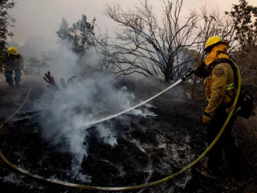 Las imágenes más impactantes del incendio Bobcat que arrasa California