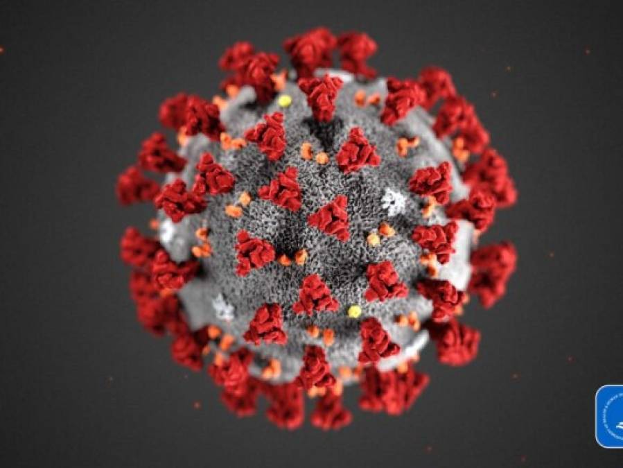 ¿Cómo determina China si una persona se contagió con coronavirus?