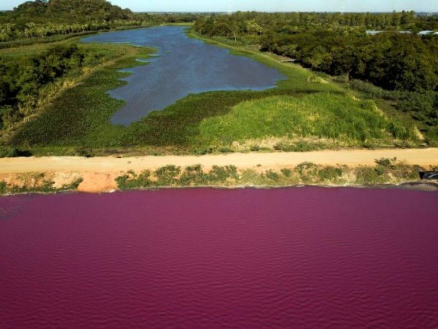 Una recopilación de las imágenes más impactantes de la semana en América Latina