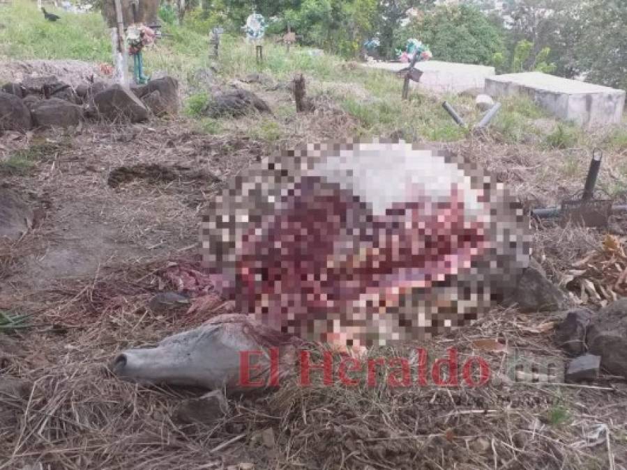 ¡Dantesco! Imágenes del destazadero clandestino hallado en cementerio de la capital