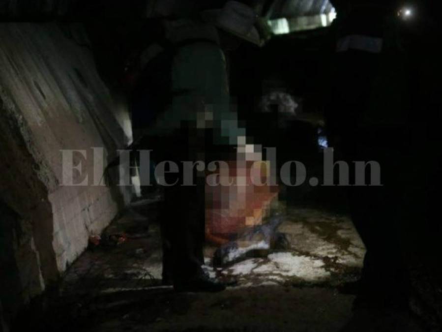 FOTOS: Así era el matadero clandestino de caballos en la colonia Nueva Suyapa