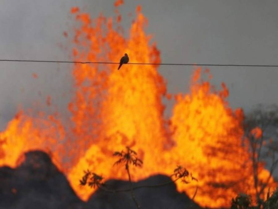 Las impactantes olas de lava del volcán Kilauea en Hawaii; hubo nube tóxica