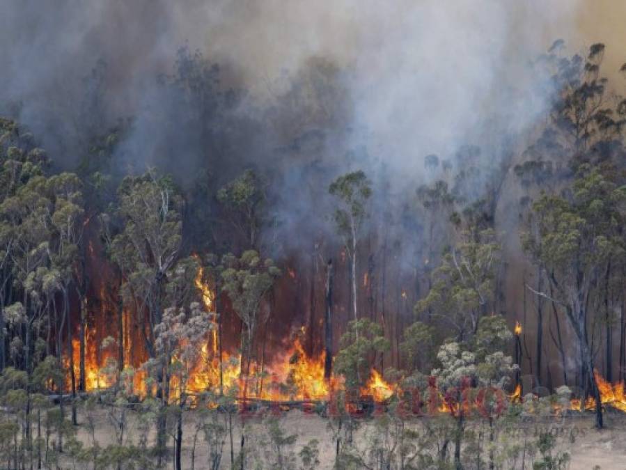 FOTOS: Personas bloqueadas en playas de Australia por incendios; van ocho muertos  