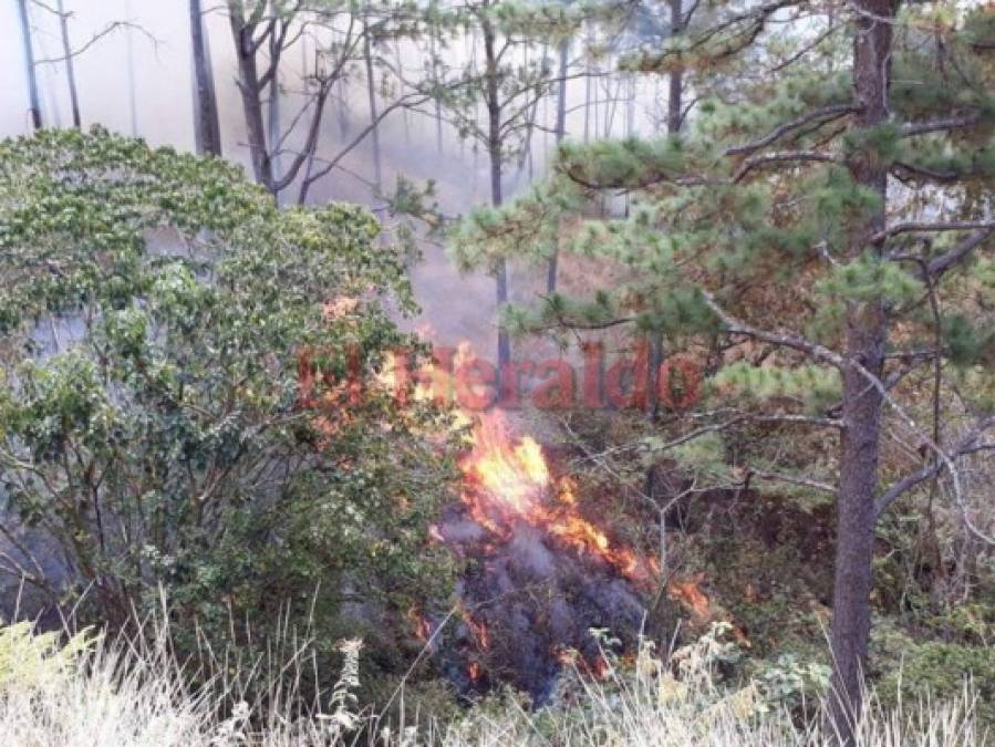 Imágenes del letal incendio que consumió el bosque en El Hatillo