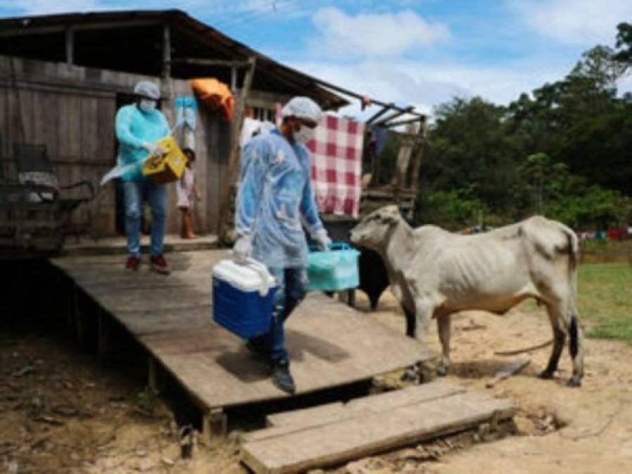 Pandemia, llanto y dolor en las fotos de la semana de América Latina