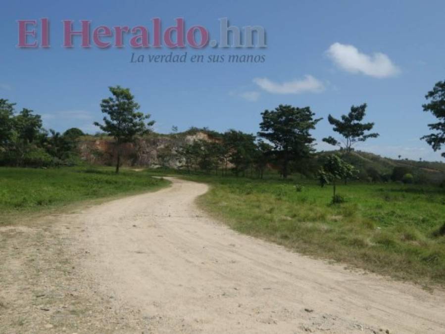 Fotos: Llena de baches y usada como corral, así está la pista del aeródromo de Trujillo