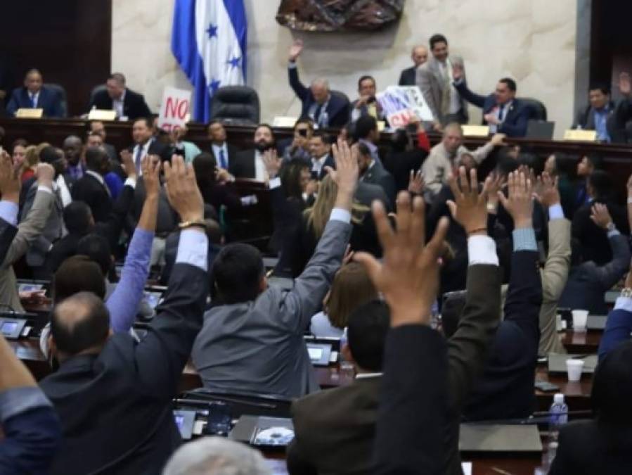 FOTOS: Empujones y gritos durante zafarrancho en el Congreso Nacional  