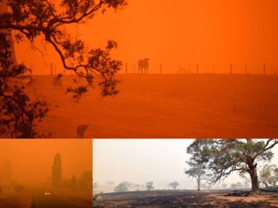 Cielo rojizo y un ambiente desierto: las fotos del caos que dejan los incendios en Australia