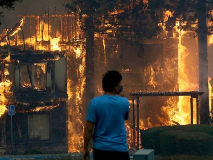 Fotos: Las impactantes imágenes que dejó en incendio en zona vinícola de California, EEUU