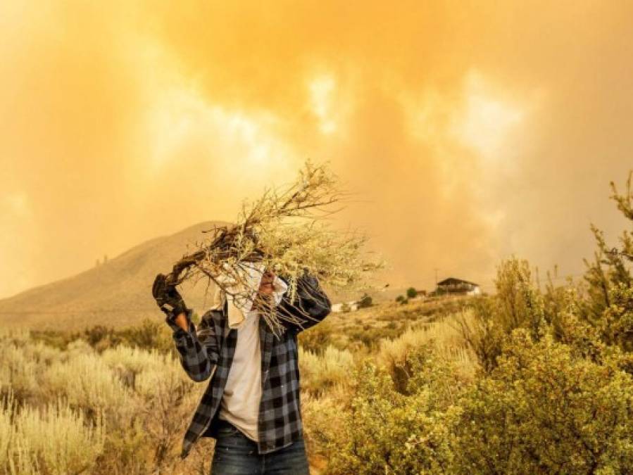 Impactantes imágenes de los incendios que consumen California