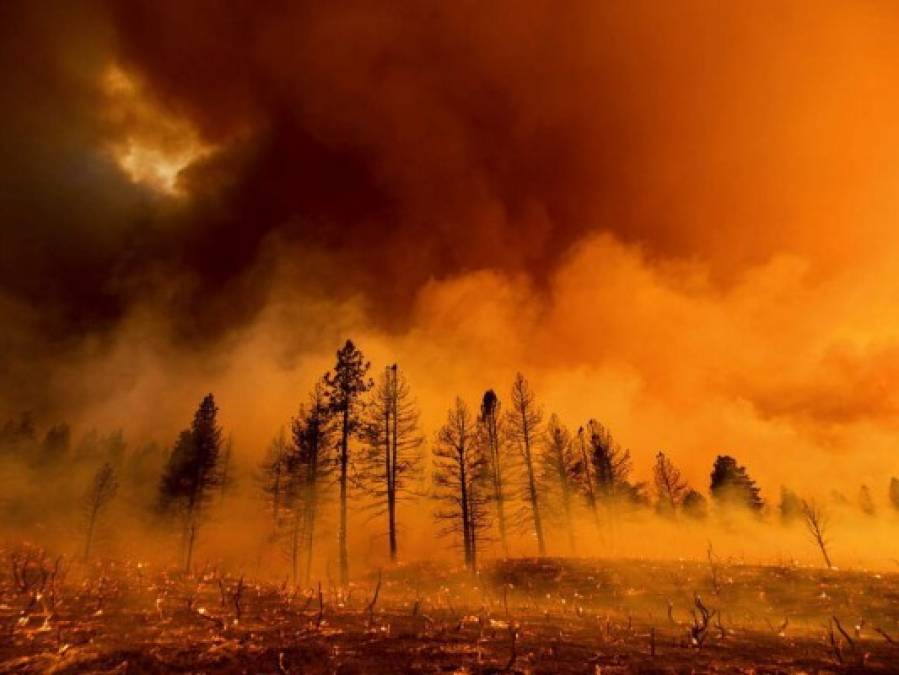 Impactantes imágenes de los incendios que consumen California