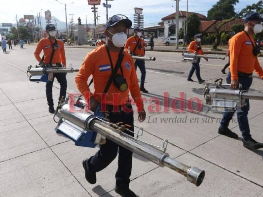 Por aire y tierra: con desfiles interinstitucionales rinden honor en el Bicentenario