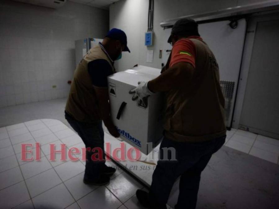 Honduras: Así fue la recepción de las 42,120 dosis de vacunas Pfizer (FOTOS)