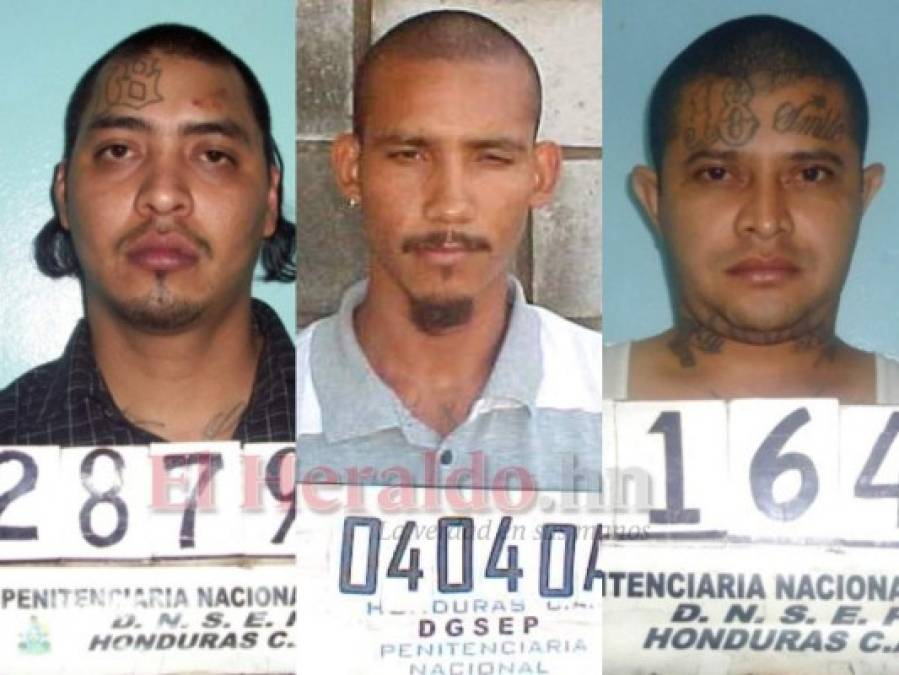 ¿Quiénes son y de qué se les acusa a los presuntos pandilleros absueltos por la justicia hondureña?