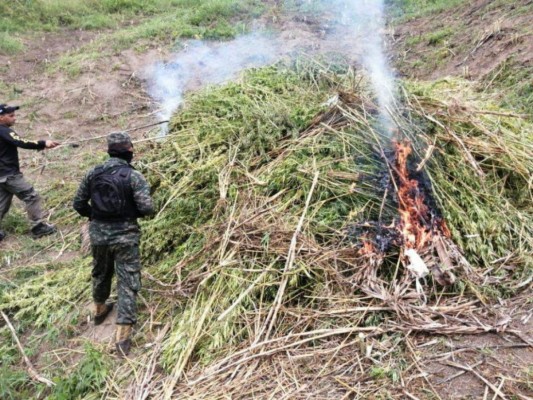 Un letal accidente, golpe al narcotráfico, muertes, heridos y capturas de impacto dejó esta semana (Fotos)