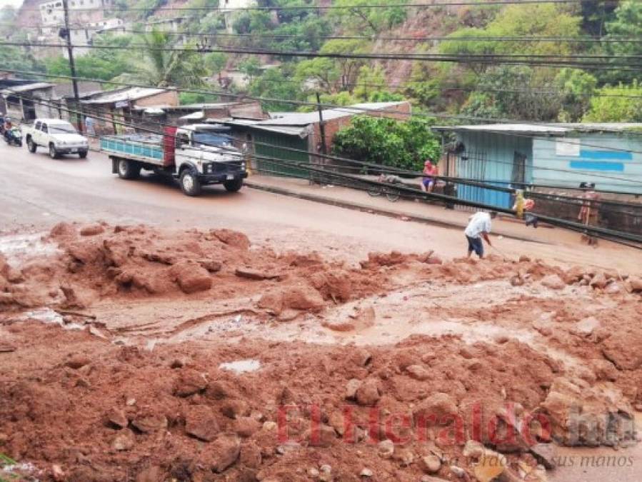 Aludes, inundaciones y árboles caídos entre daños por lluvias en la capital