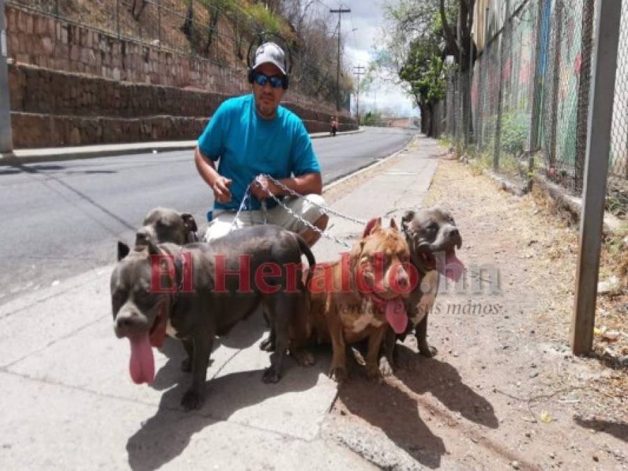 FOTOS: Ventas ambulantes, protestas y desalojos, hondureños no acatan medidas