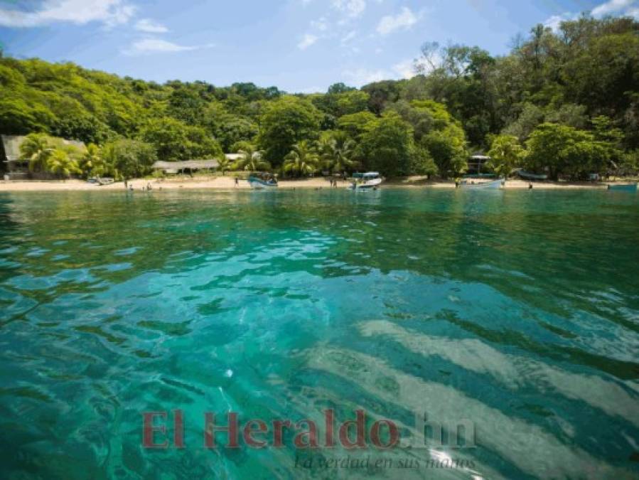 Cayos Cochinos, el tesoro marino de la costa atlántica de Honduras