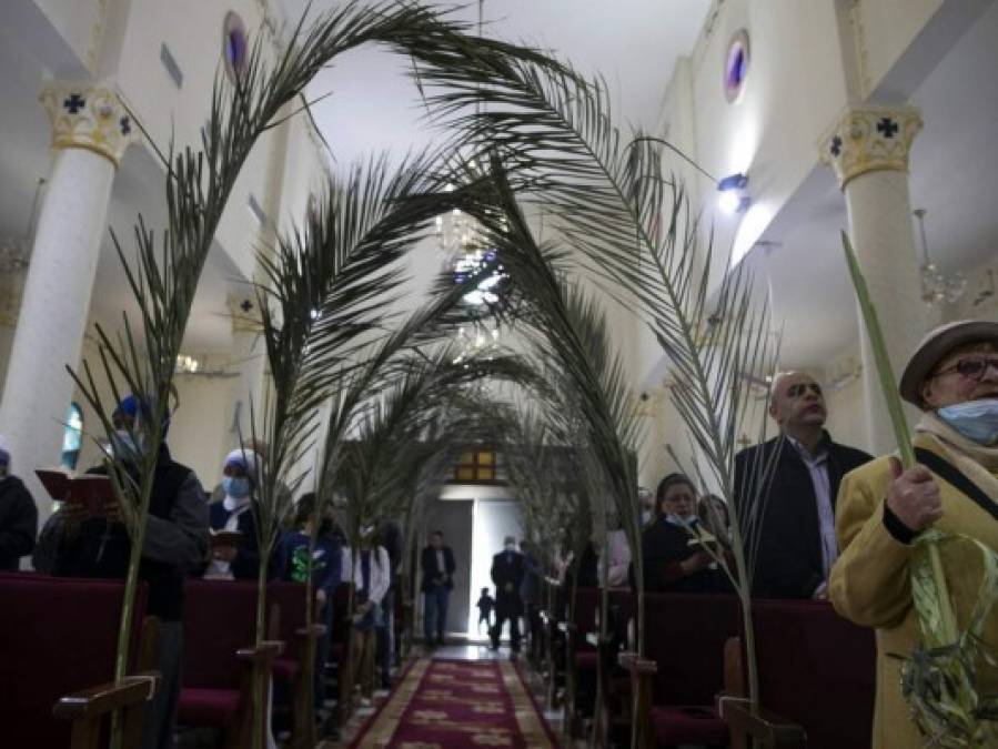 Cristianismo conmemora el Domingo de Ramos en el mundo (FOTOS)