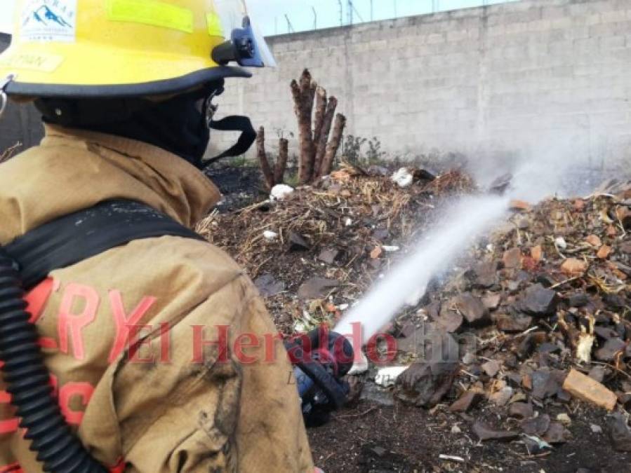 FOTOS: Ruinas, tristeza y pérdidas deja incendio en la Arturo Quezada